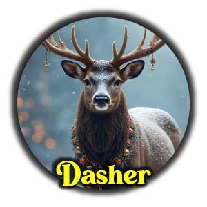 Dasher
