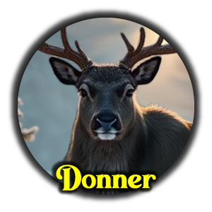 Donner